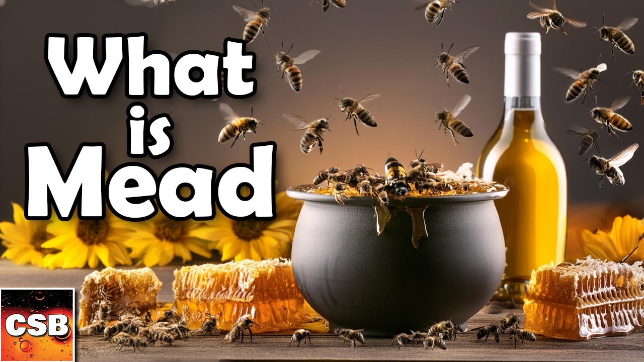 What is Mead? And why you should make your own mead at home!