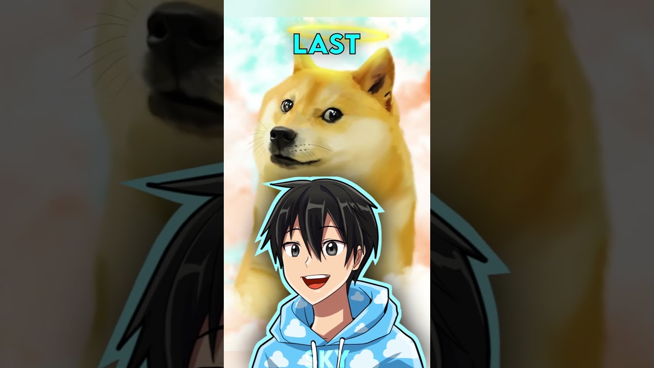 Top 3 Meme Dogs who have DIED 🕊️😔
