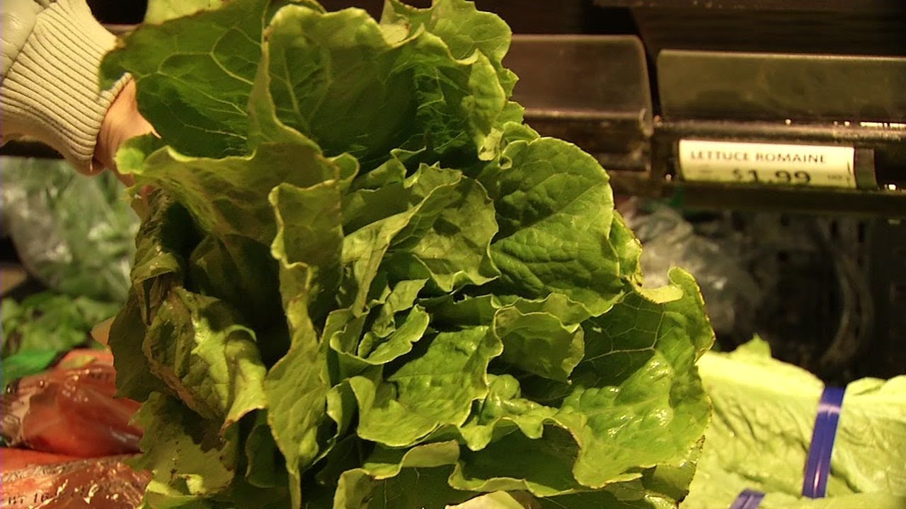 THROW AWAY YOUR ROMAINE: Deadly E. coli outbreak linked to lettuce | ABC7NEWS.COM