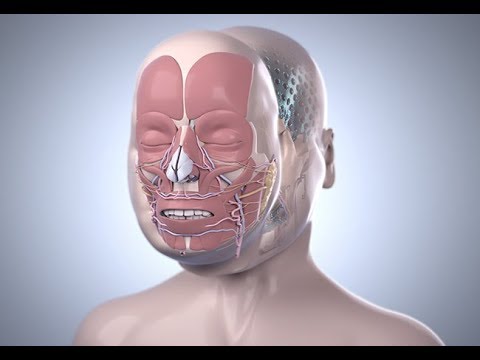 Cleveland Clinic's First Total Face Transplant | Katie Stubblefield | Step by Step