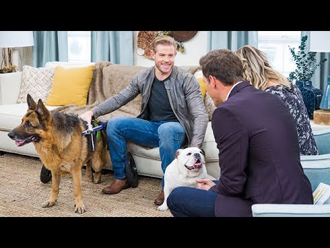 Trevor Donovan and His Dogs - Home & Family