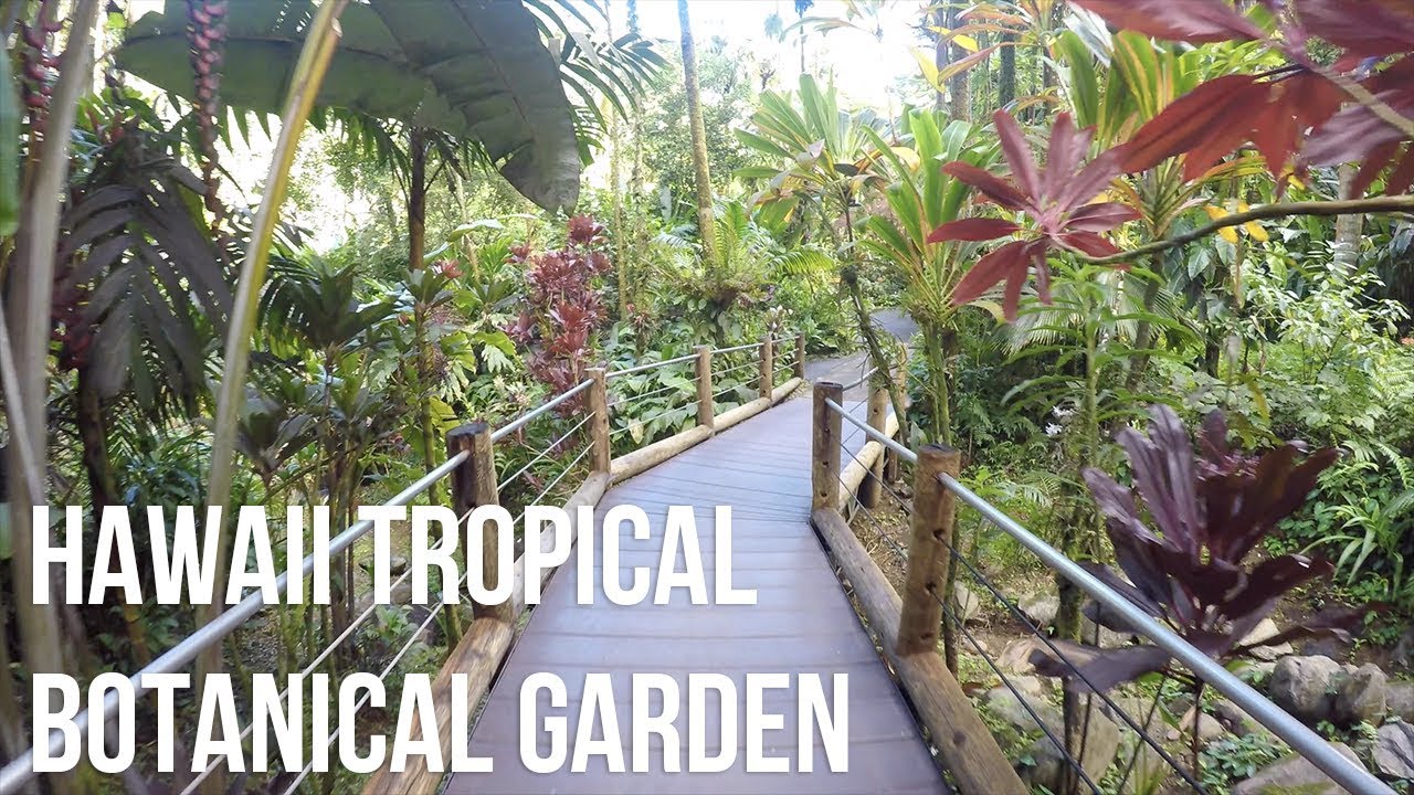 Hawaii Tropical Botanical Garden - Virtual Tour