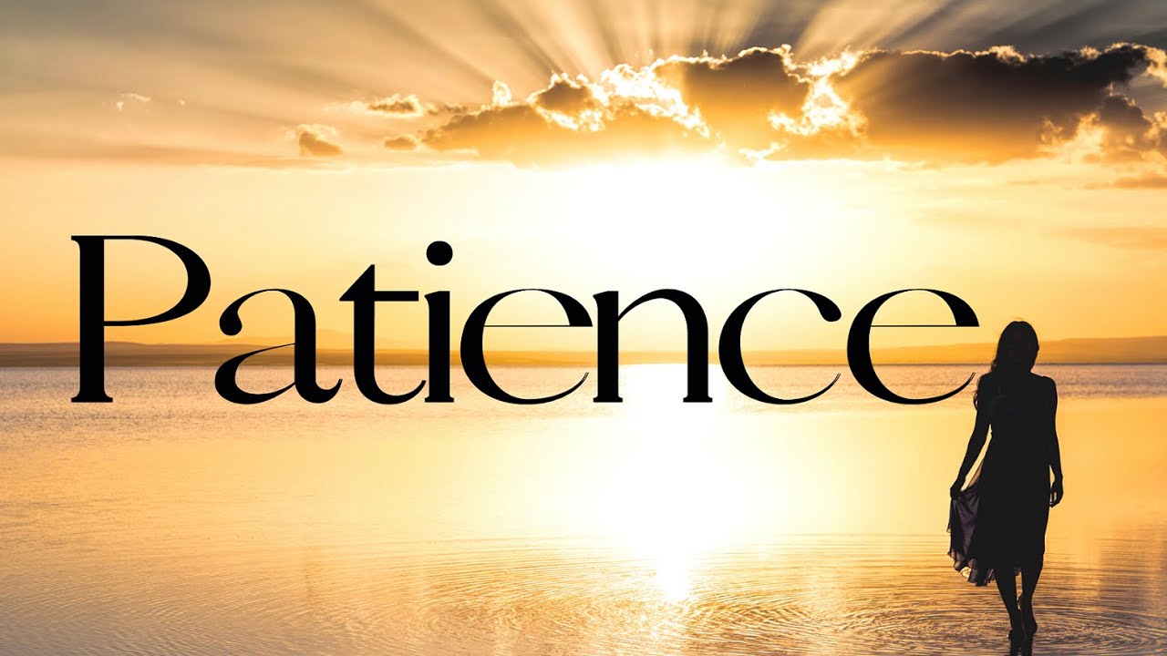What is PATIENCE? What does PATIENCE mean? Define PATIENCE (Meaning & Definition Explained)