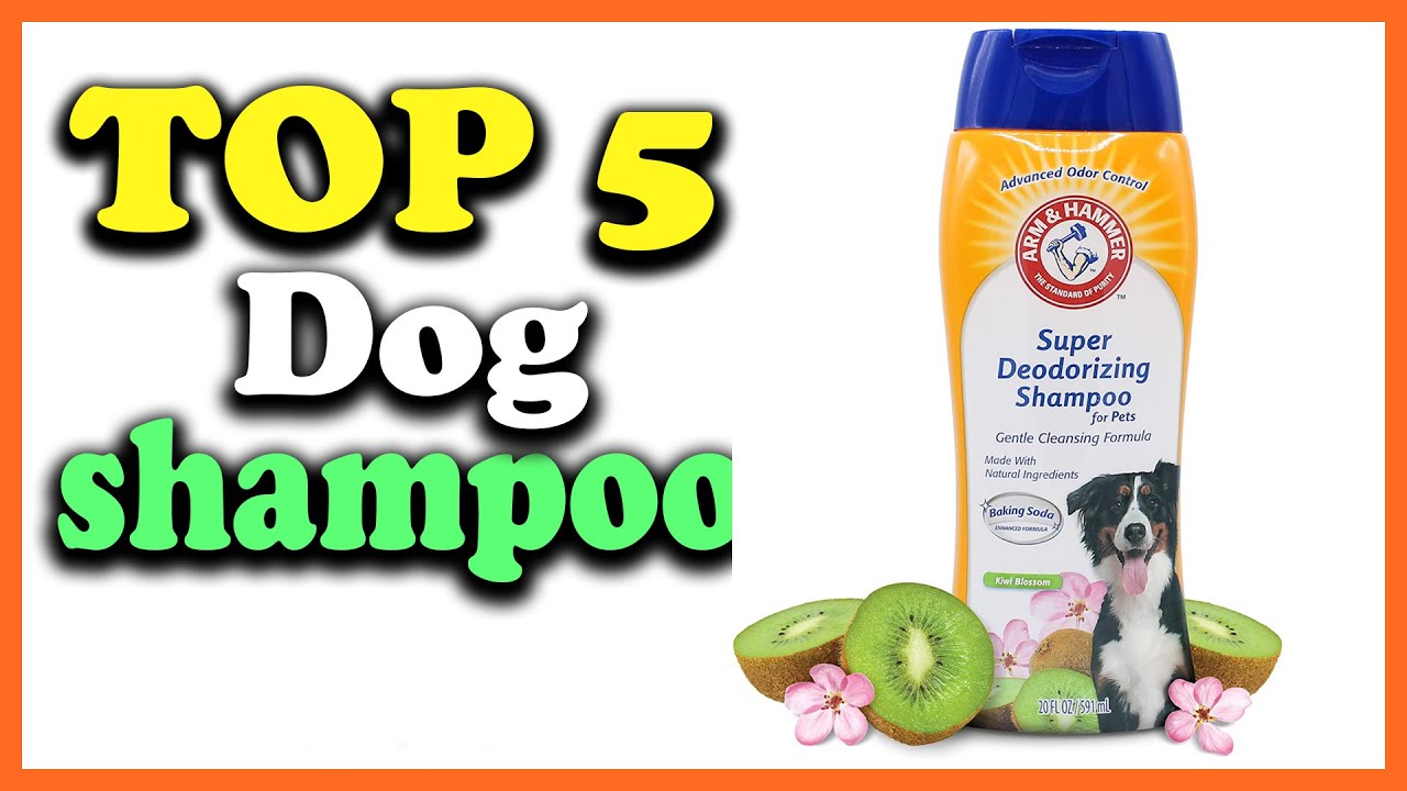 ✅Best Dog Shampoo in 2023