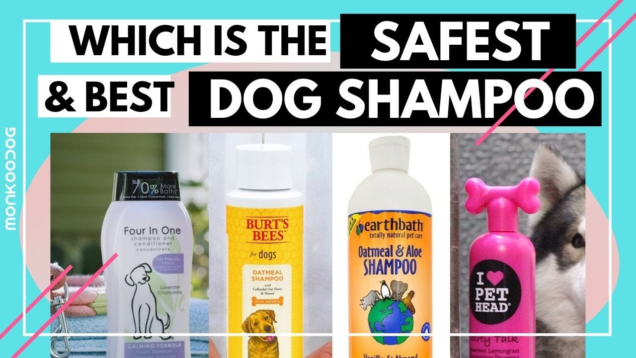 Which is the Best and Safest Dog Shampoo of 2020 || Dog Shampoo Review || Monkoodog