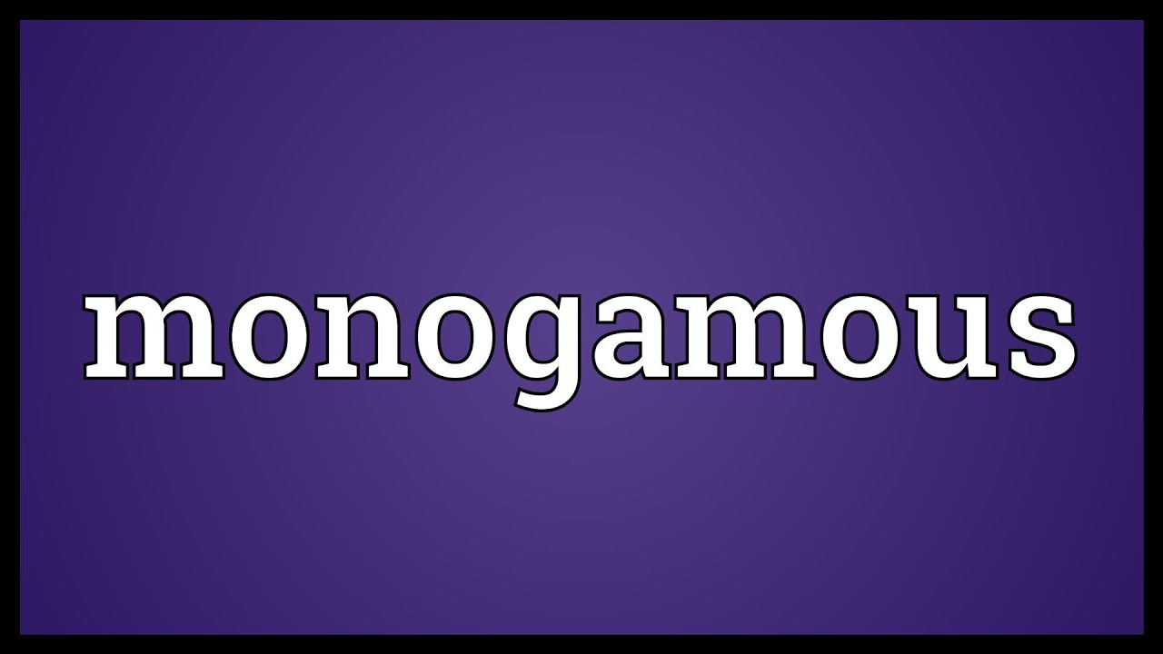 Monogamous Meaning