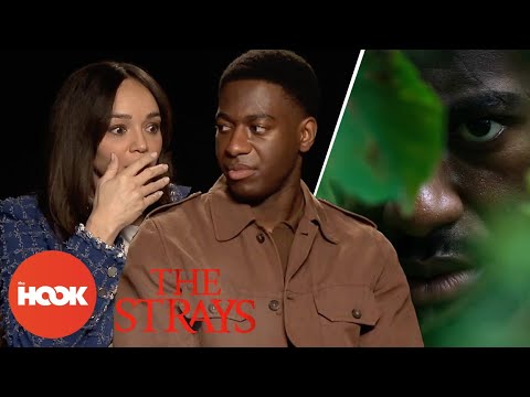 The Strays Cast Reveal Brutal Accident On Set Of Thriller | @TheHookOfficial