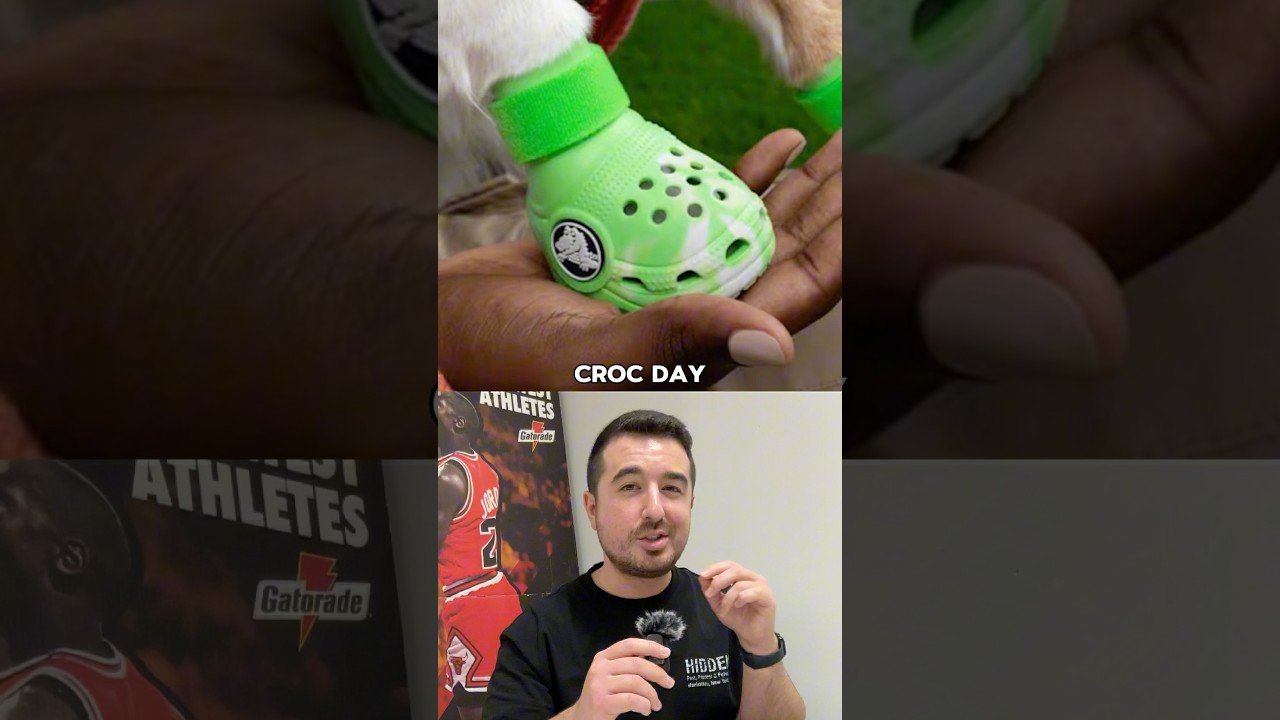 Crocs for your Dog (and you)🦮