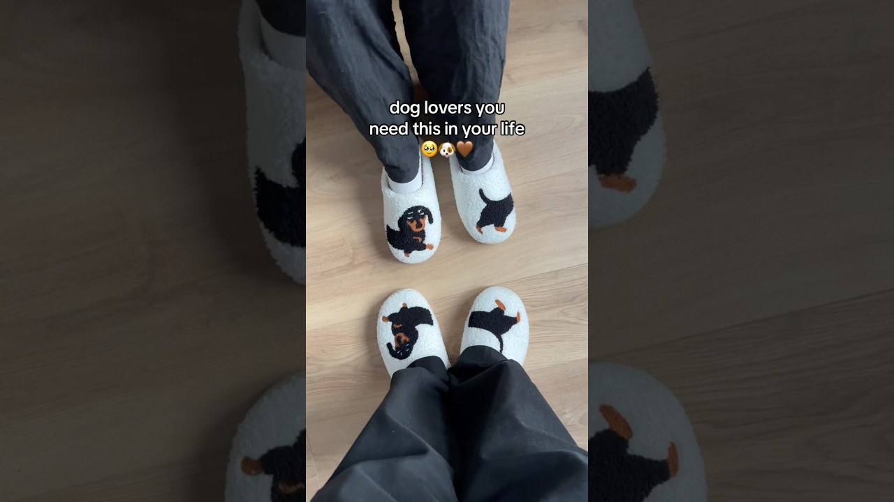 Get yours in the LlNK lN BlO🛍️🐶 #dog #wienerdog #gift #dachshund #slippers #sausagedog