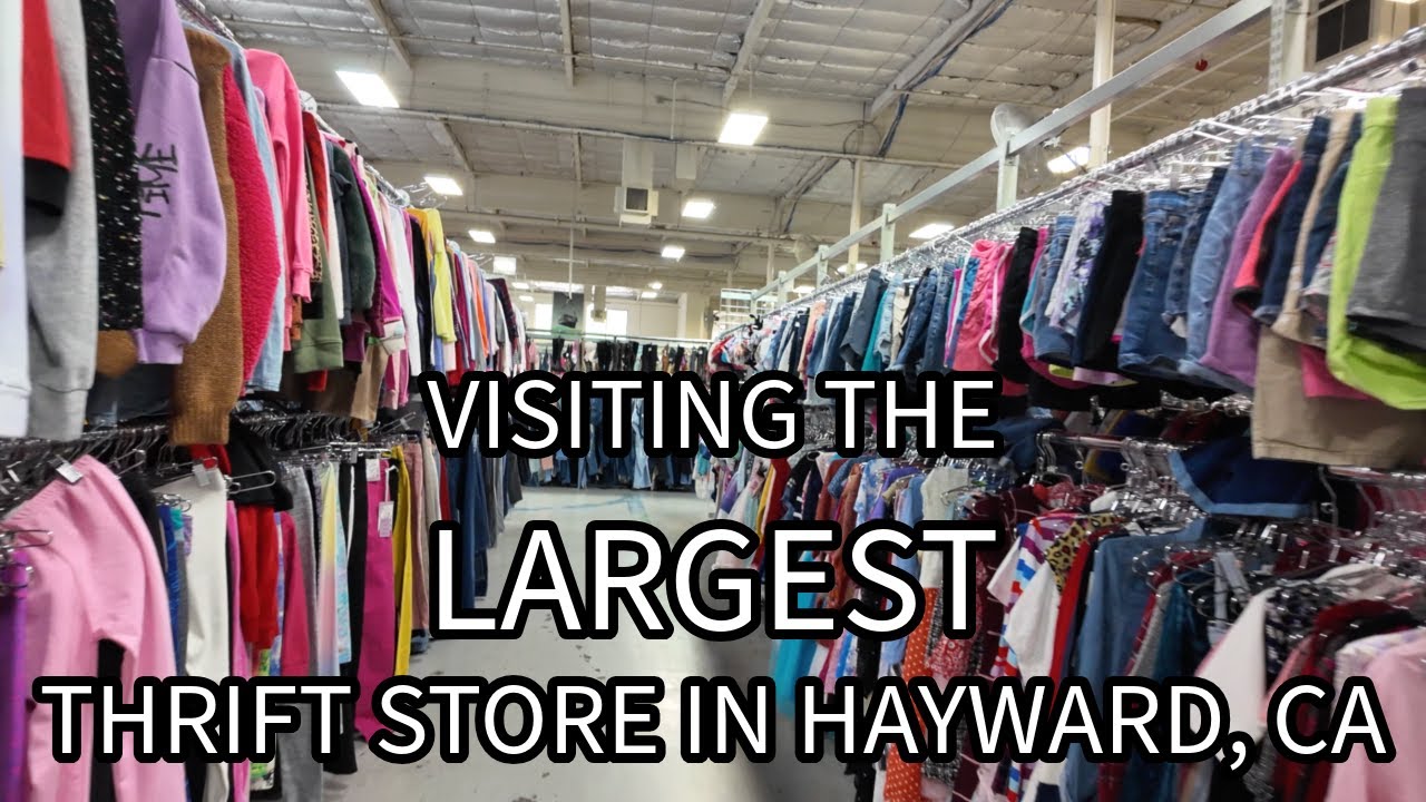 Going to the Biggest Thrift Store in Northern CA Eco Thrift in Hayward CA