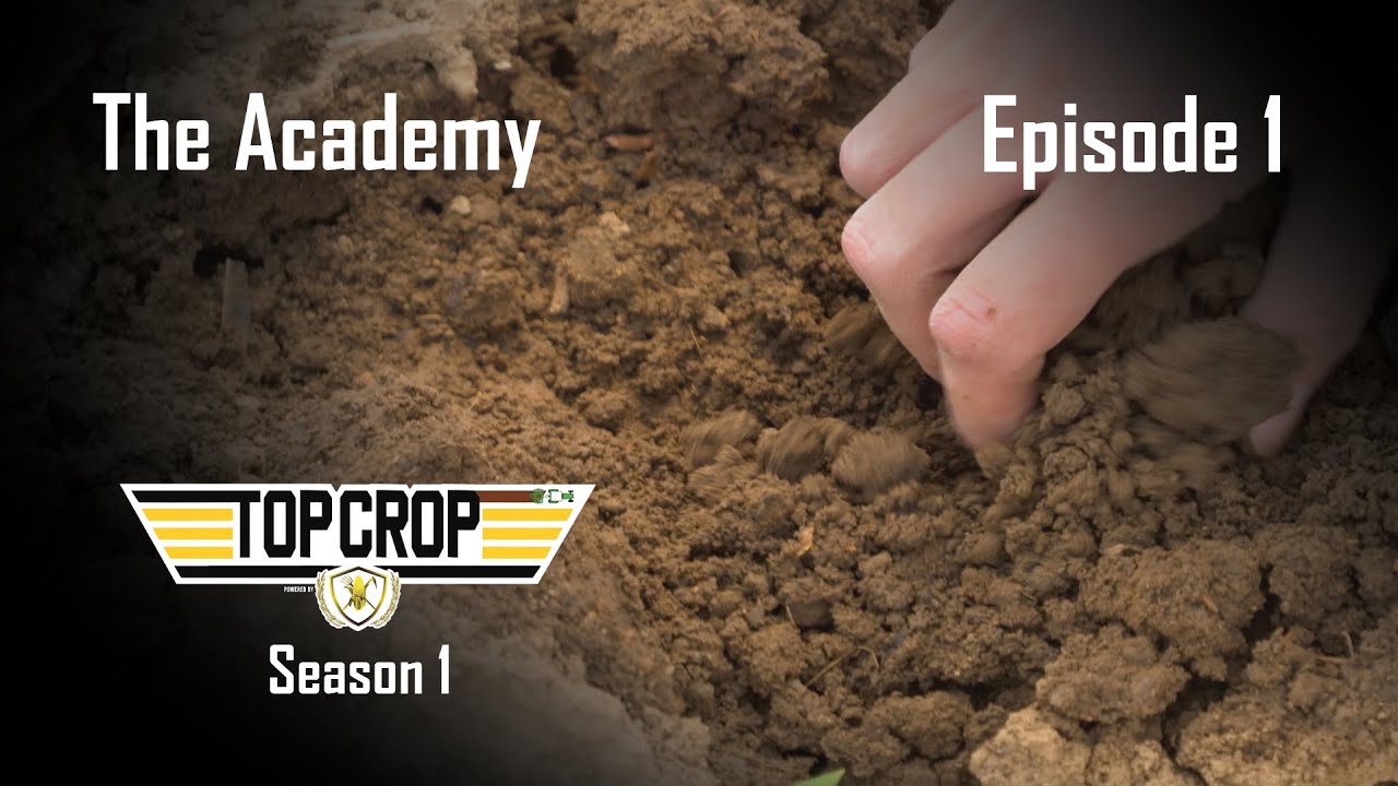 Top Crop | Episode 1