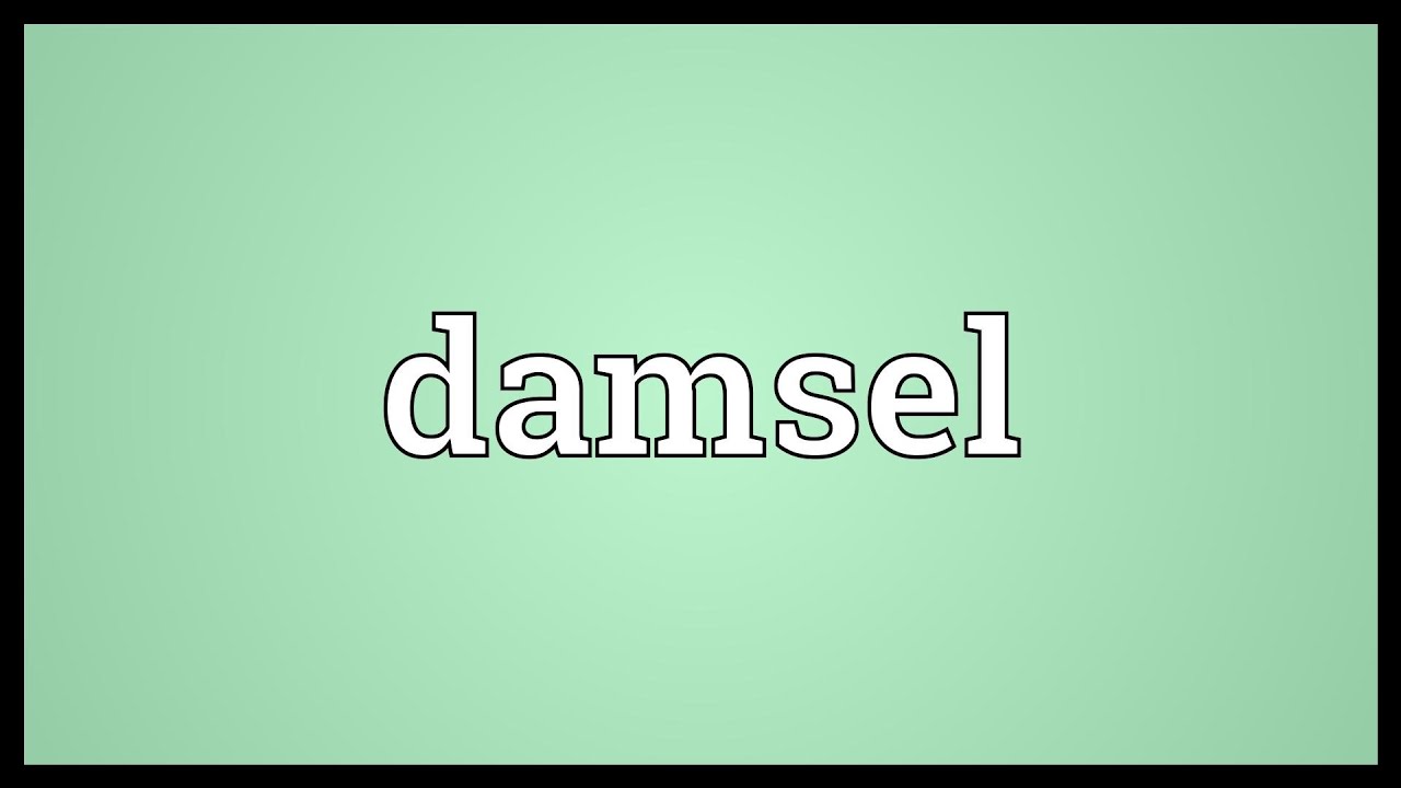 Damsel Meaning