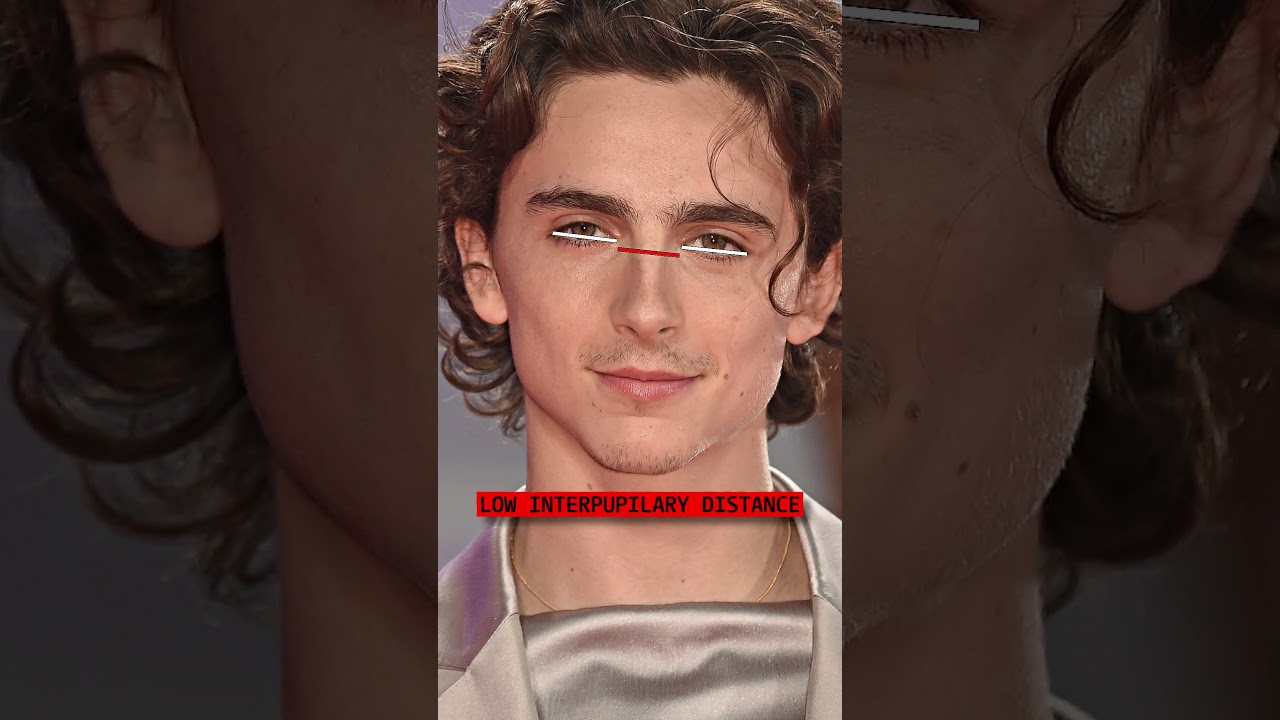 How Attractive is Timothee Chalamet?
