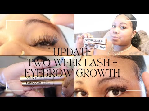 * UPDATE * EYELASH & EYEBROW GROWTH | TWO WEEKS RESULTS - SCOROLASH REVIEW