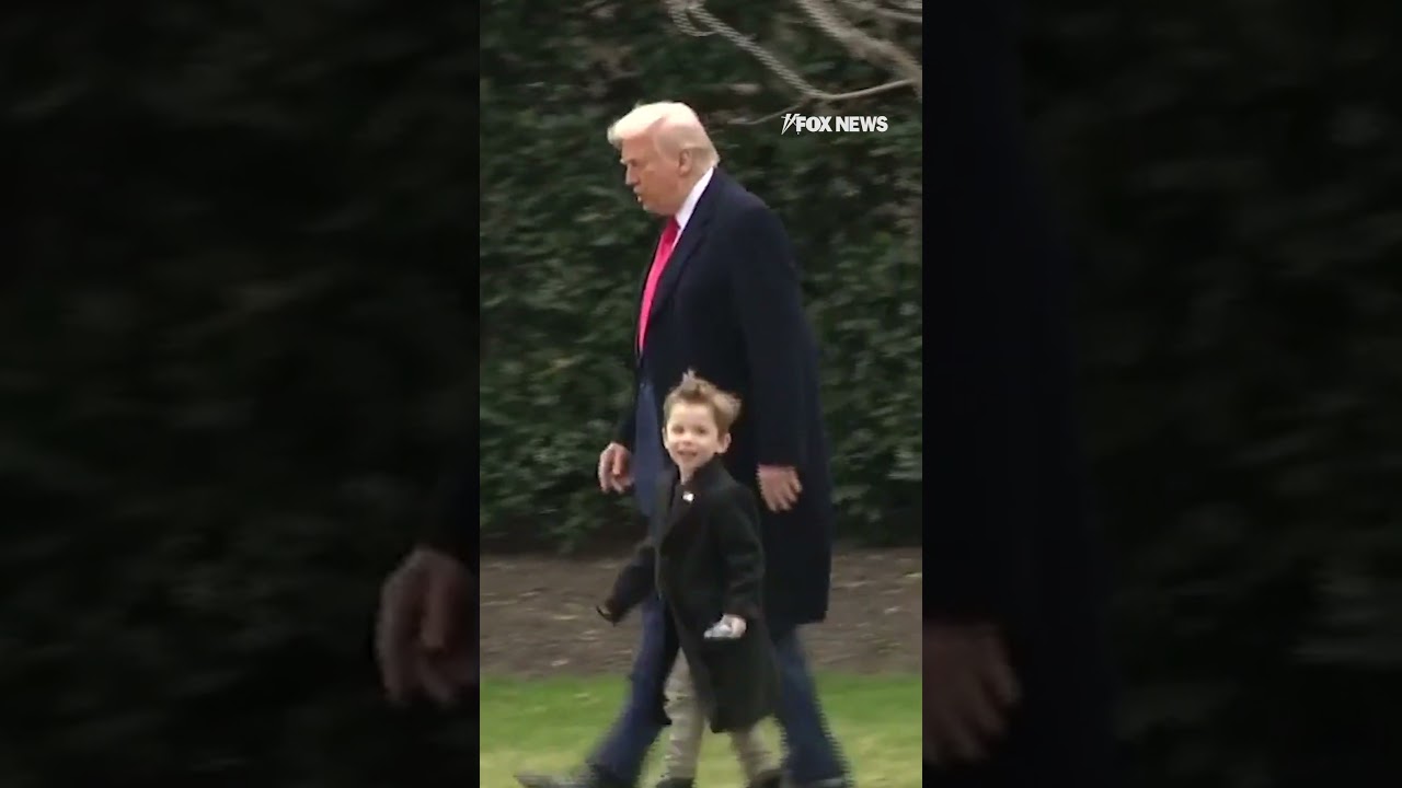 Trump boards Marine One with Elon Musk's son 'Lil X'