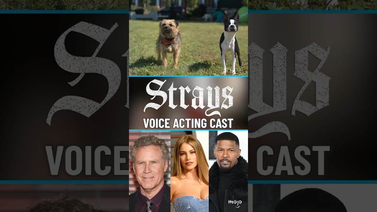 Strays: Voice Acting Cast #Shorts