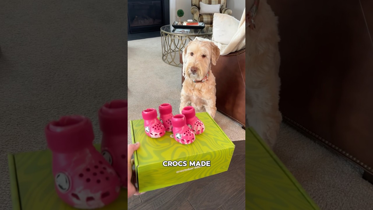 Trying the Viral Dog Crocs🦮