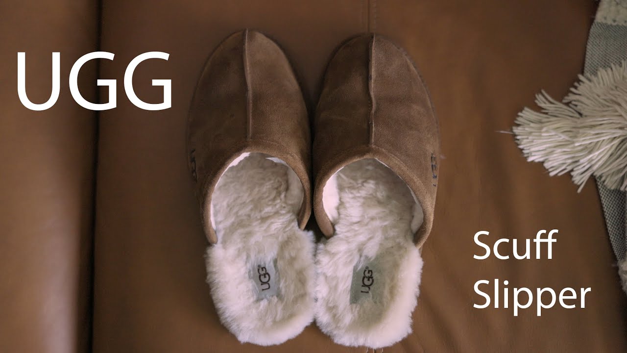 UGG Scuff Slipper - My most used shoe? Worth it?