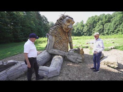 Chuck's Big Adventure in Kentucky I Finding giants at Bernheim Forest