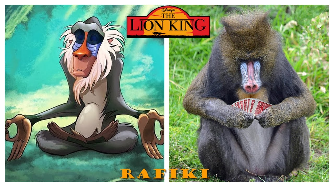 Disney The Lion King Characters and Scenes in Real Life