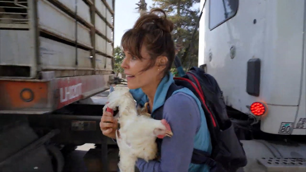 ‘Baywatch’ Star Alexandra Paul Found Not Guilty of Theft