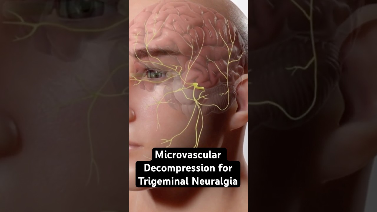 Most excruciating pain known to humanity (3D Animation)