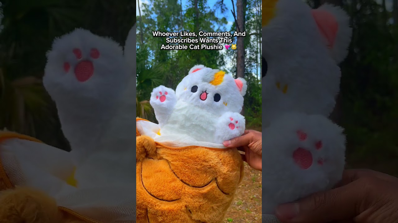 Is This The Cutest Cat Plushie Ever? 💘🥹