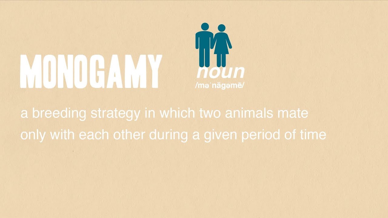Monogamy