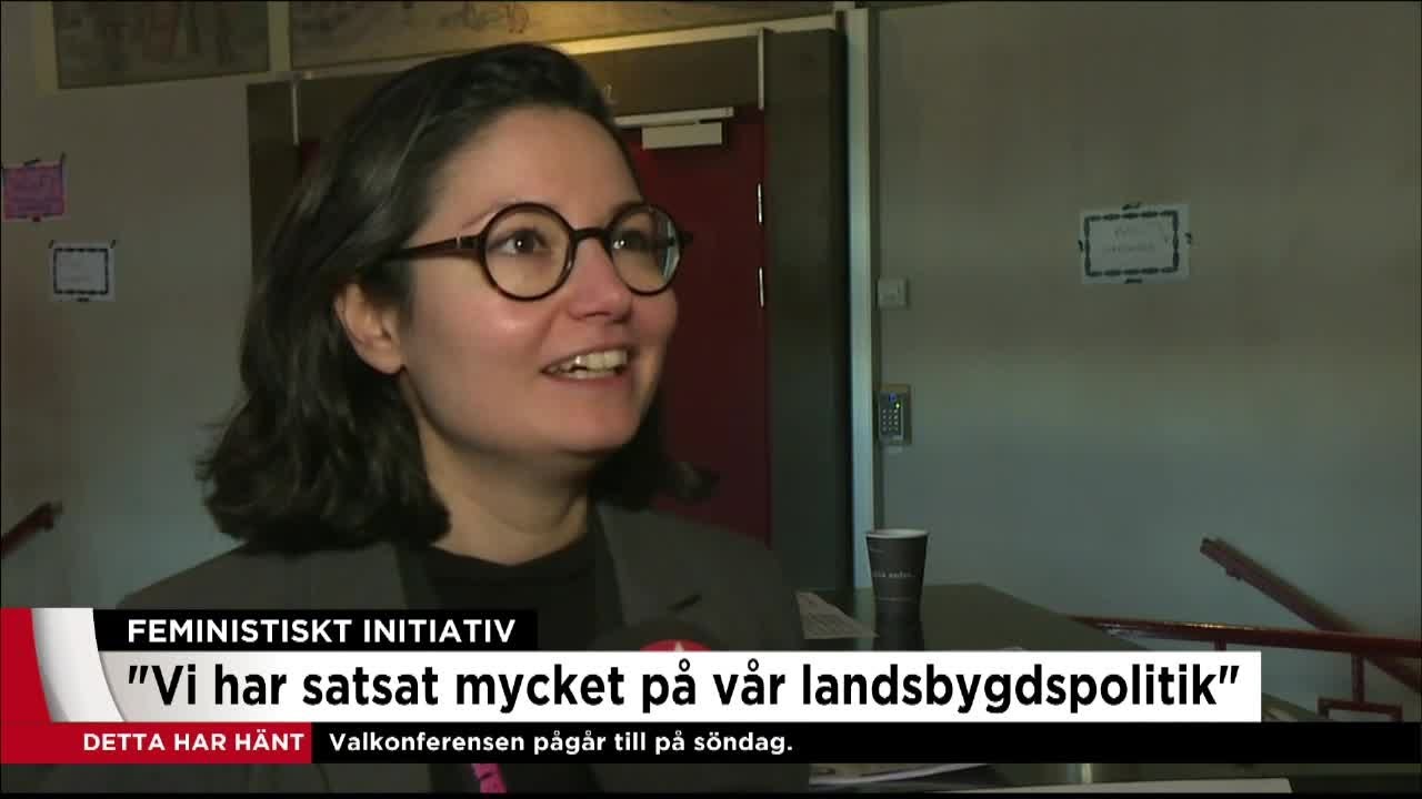 Feministiskt initiativs nya partiledare: Vi är aktivister i själ och hjärta - Nyheterna (TV4)