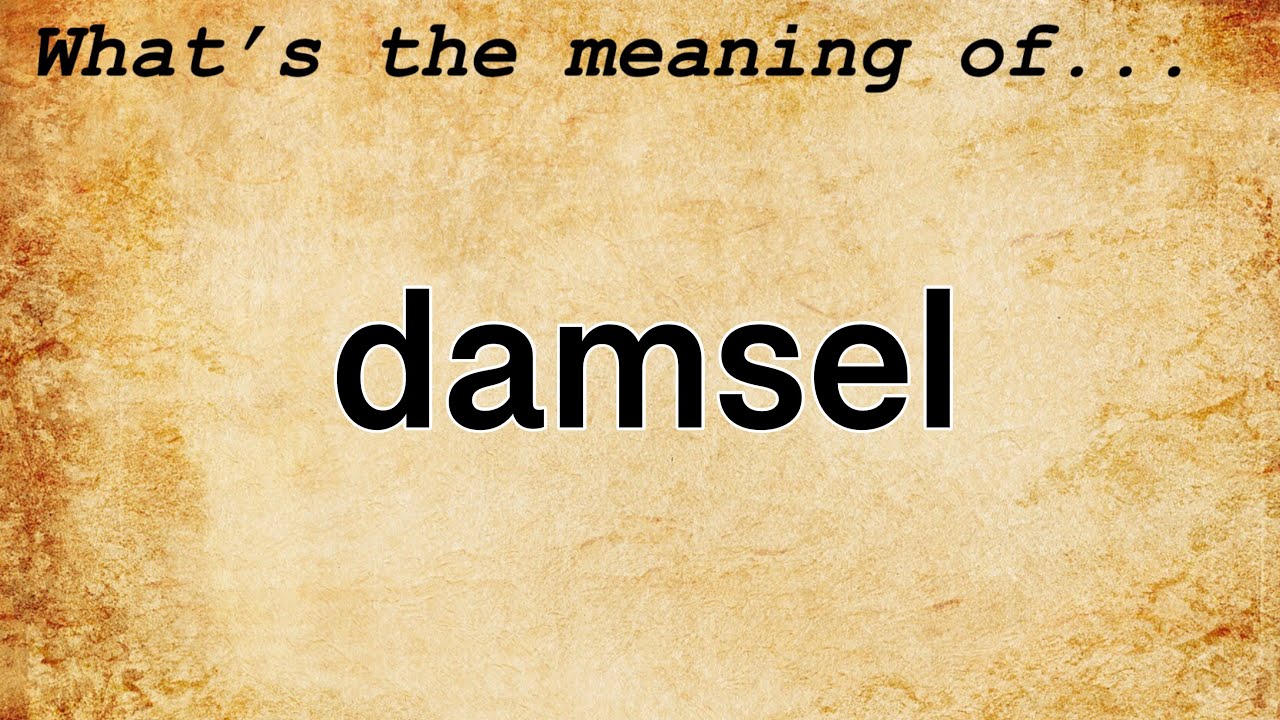Damsel Meaning : Definition of Damsel