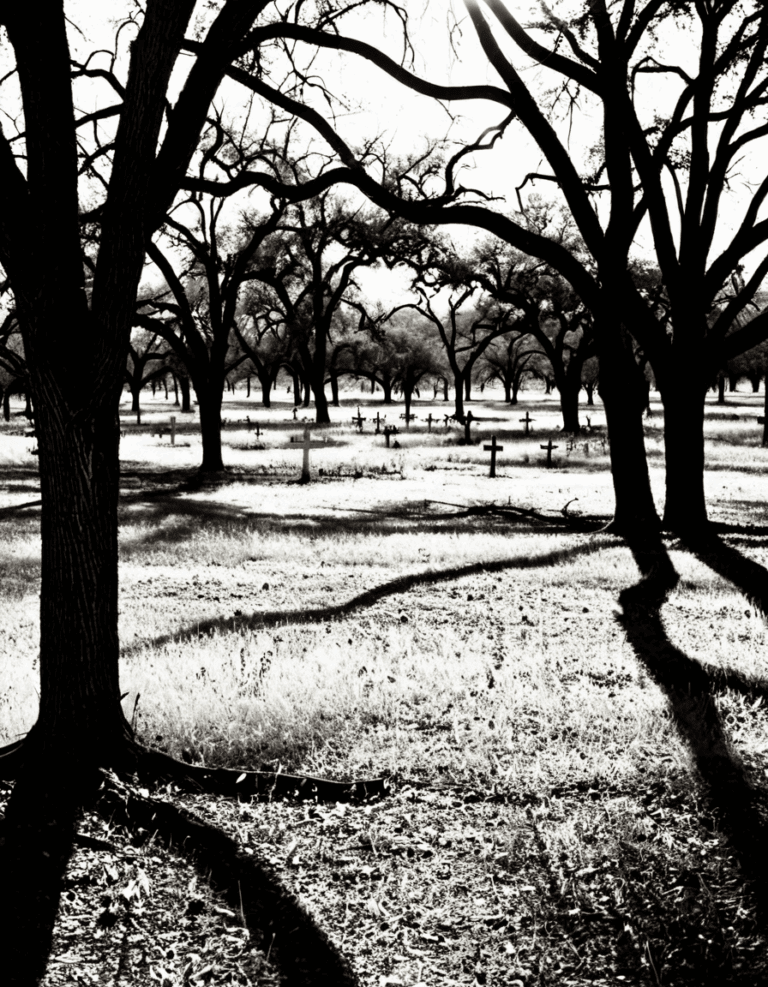 texas killing fields